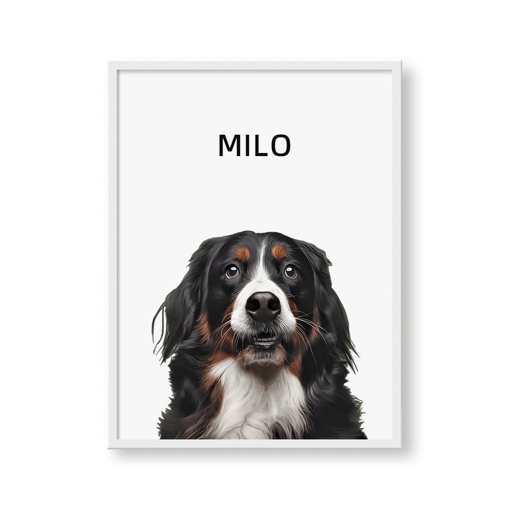 Minimalist