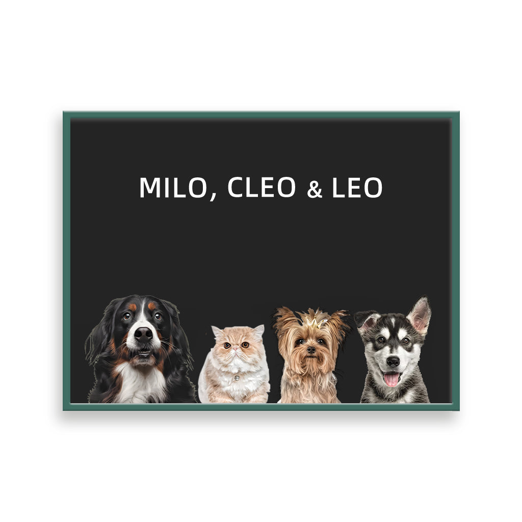 Four pets portrait