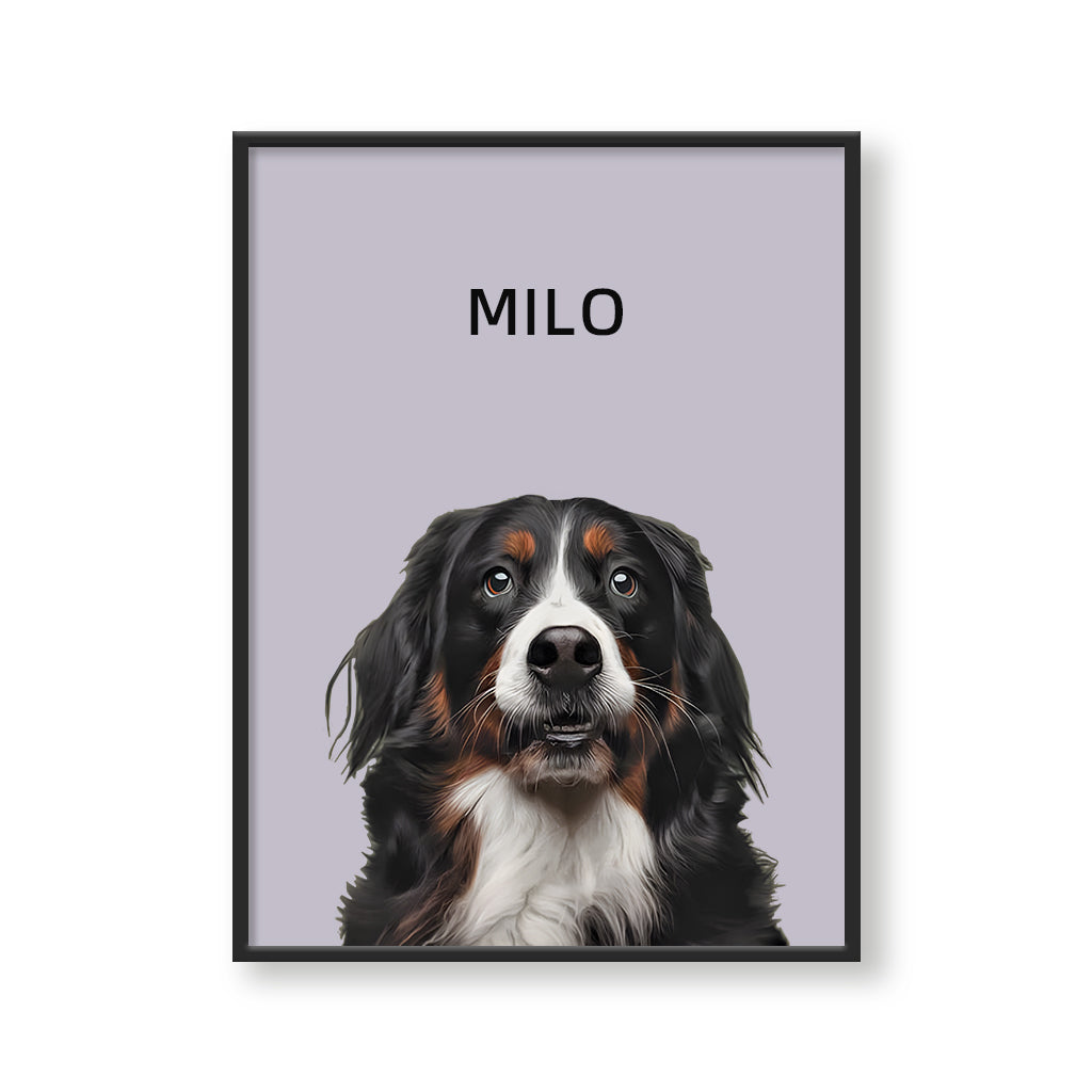 One Pet Modern Portrait