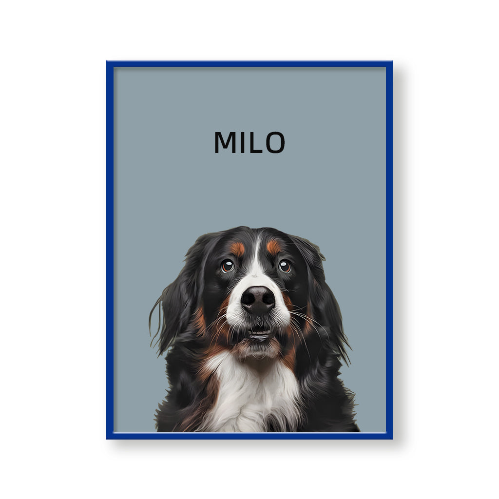 One Pet Modern Portrait