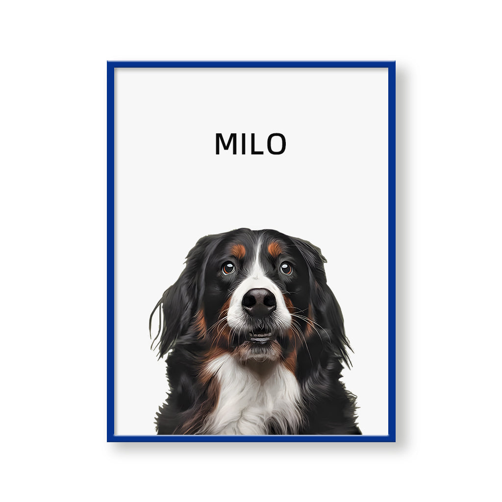 One Pet Modern Portrait