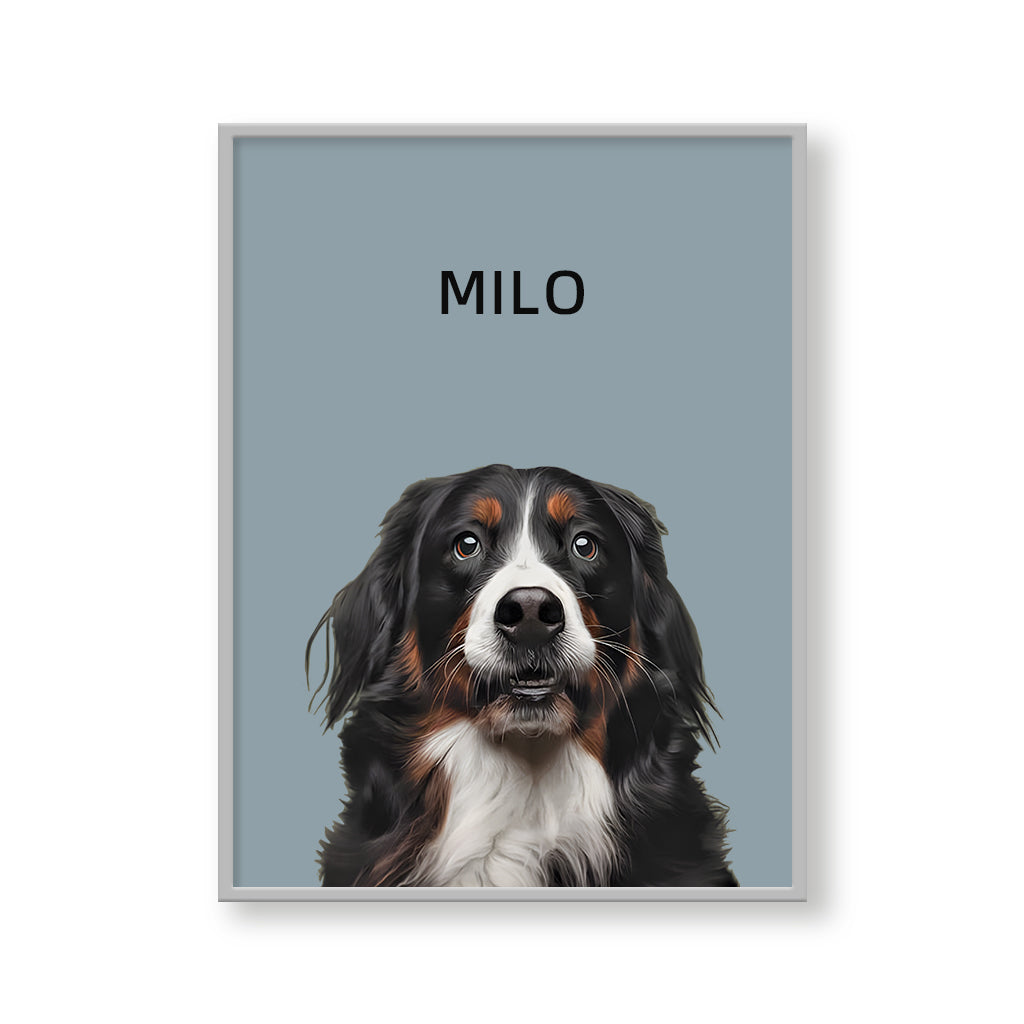 One Pet Modern Portrait