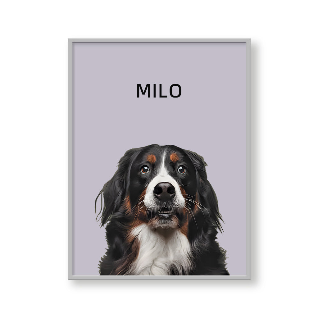 One Pet Modern Portrait