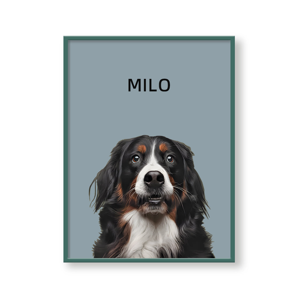 One Pet Modern Portrait