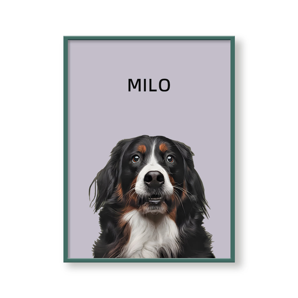 One Pet Modern Portrait