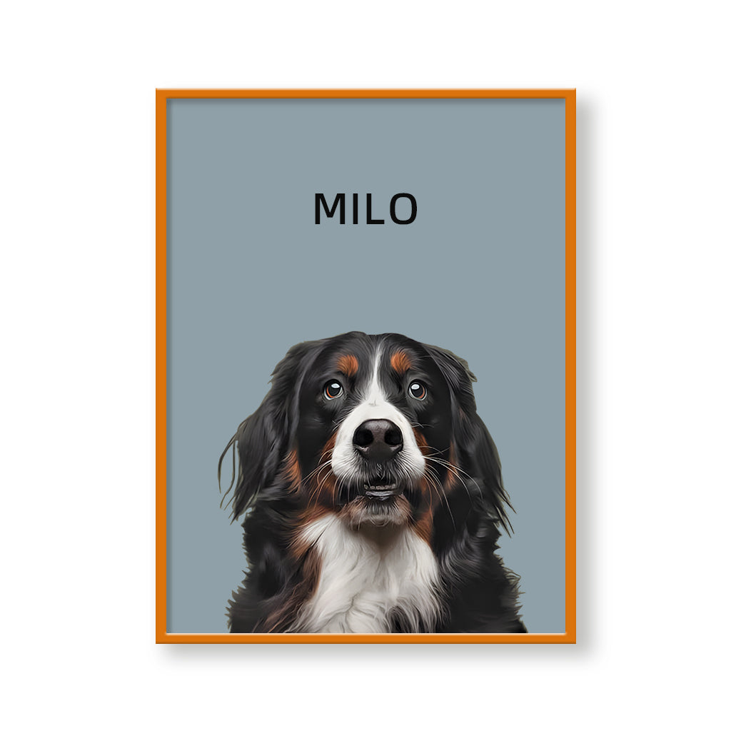 One Pet Modern Portrait