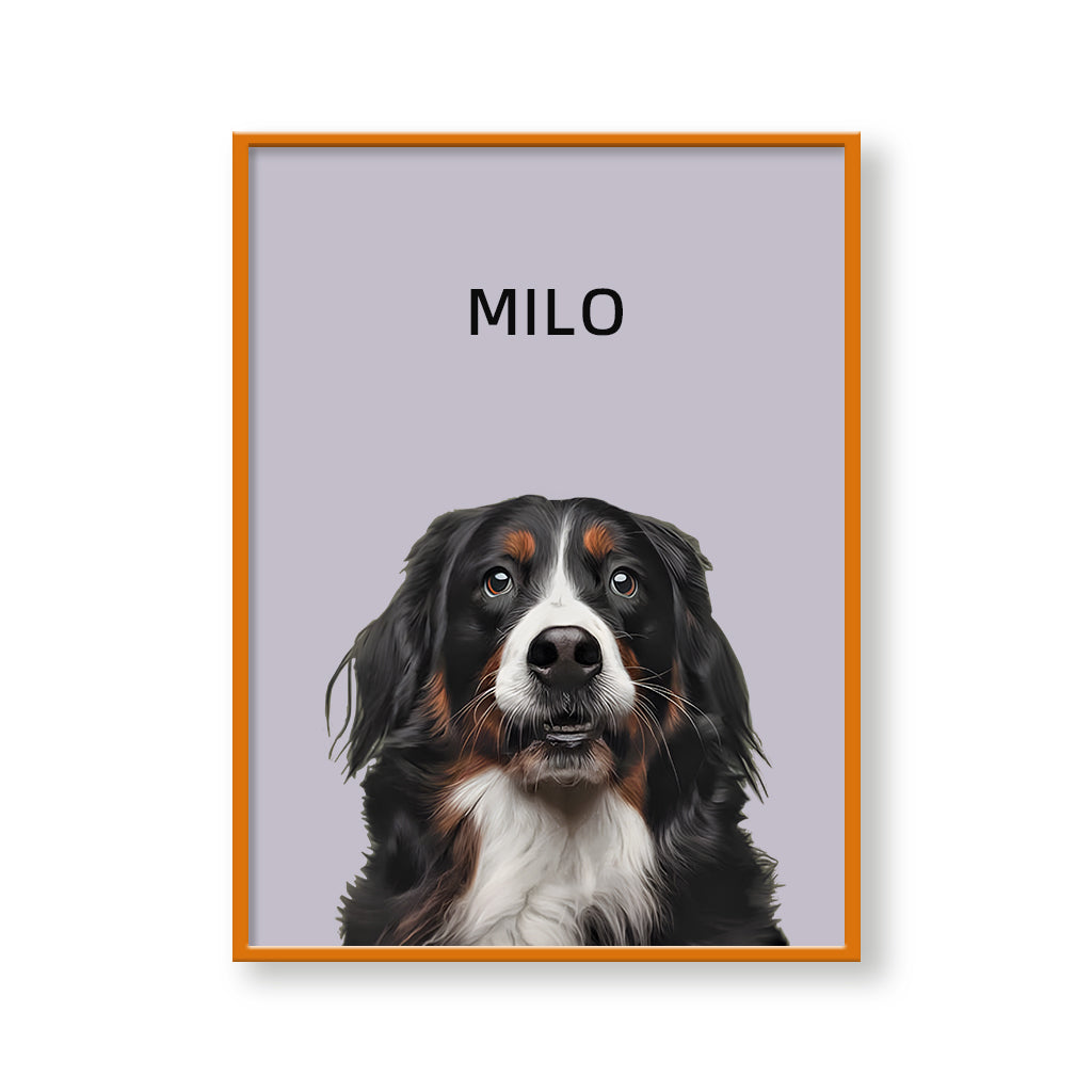 One Pet Modern Portrait
