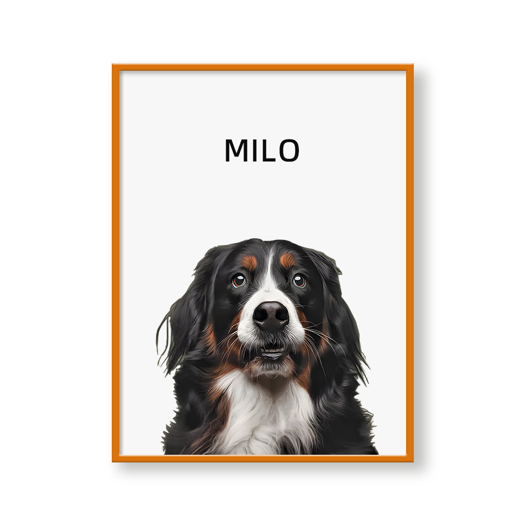 One Pet Modern Portrait