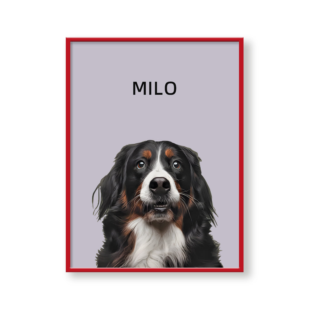 One Pet Modern Portrait