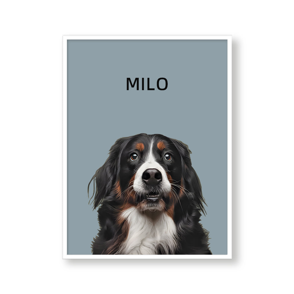 One Pet Modern Portrait