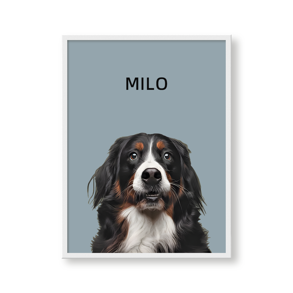 One Pet Modern Portrait