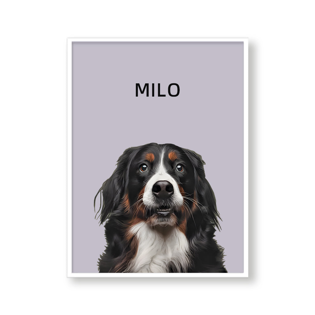 One Pet Modern Portrait