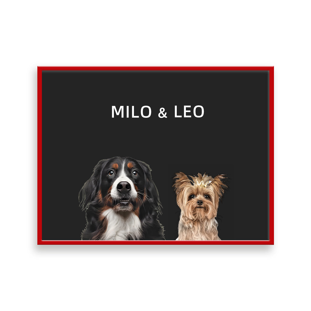 Two Pet Portrait