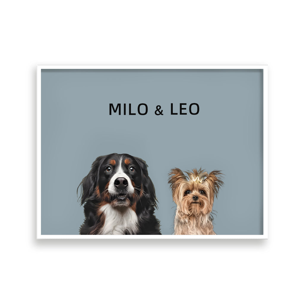 Two Pet Portrait